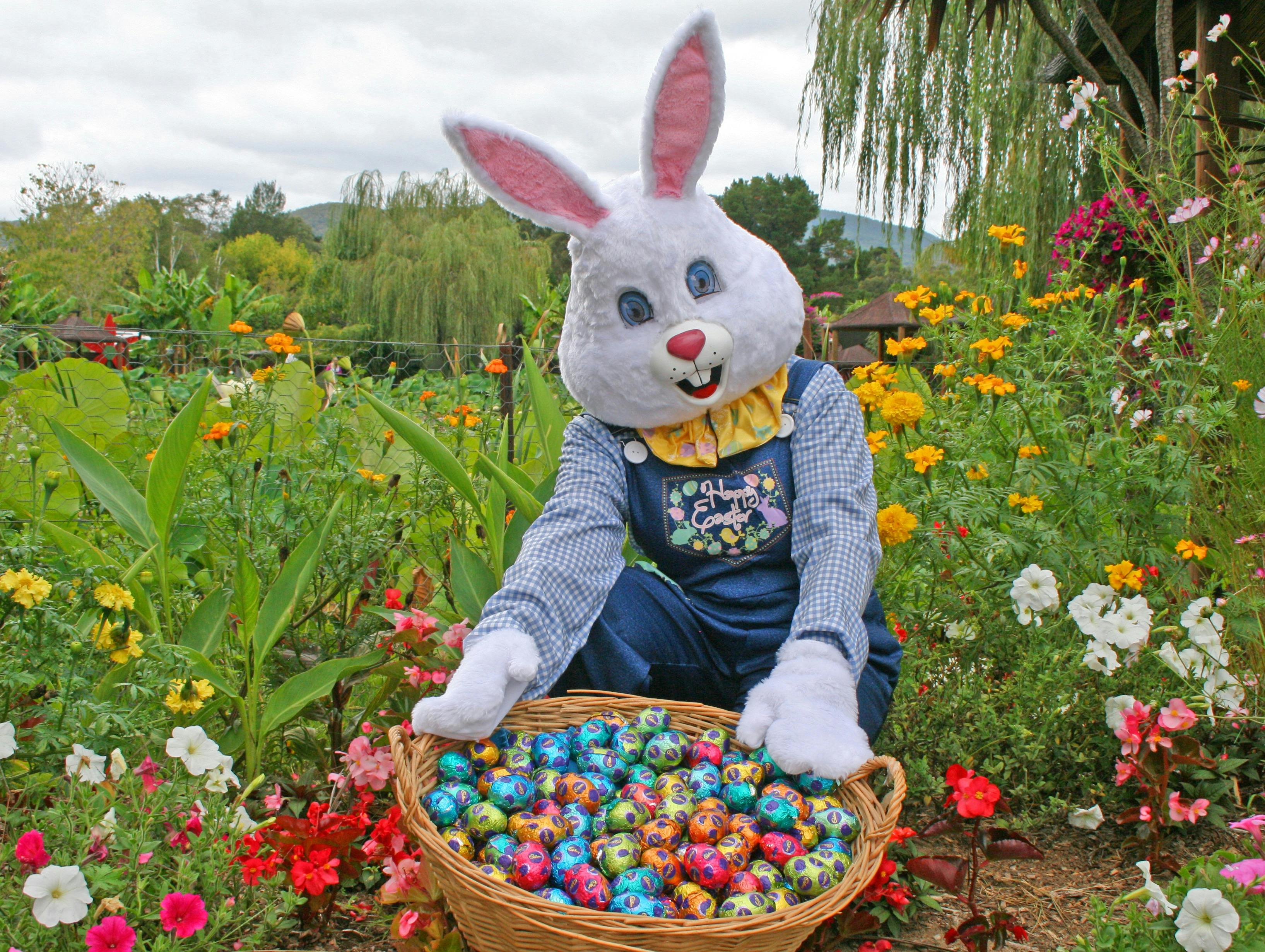 Easter Bunny at Blue Lotus
