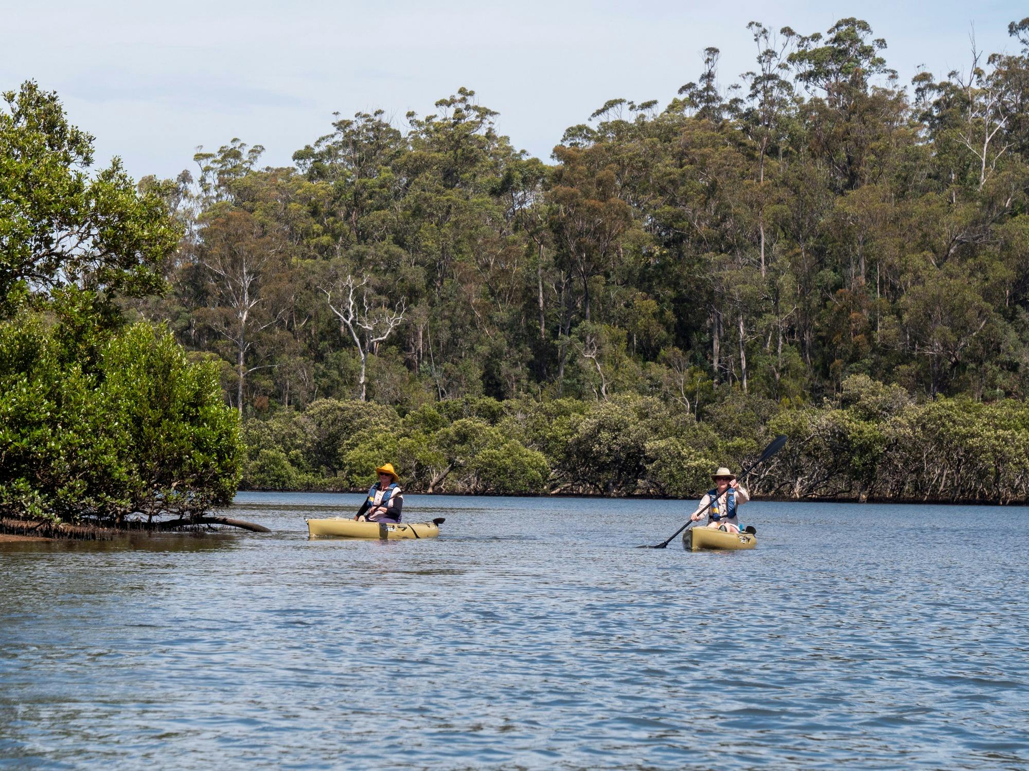 Two paddlers on Bermagui River