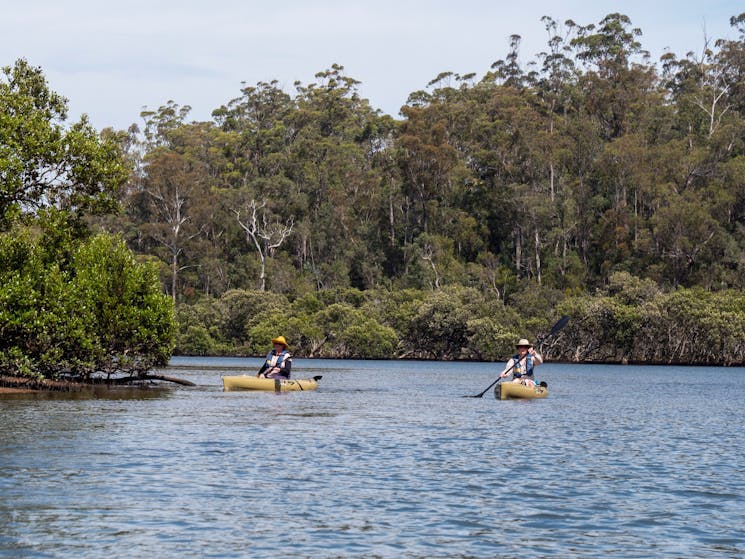 Two paddlers on Bermagui River