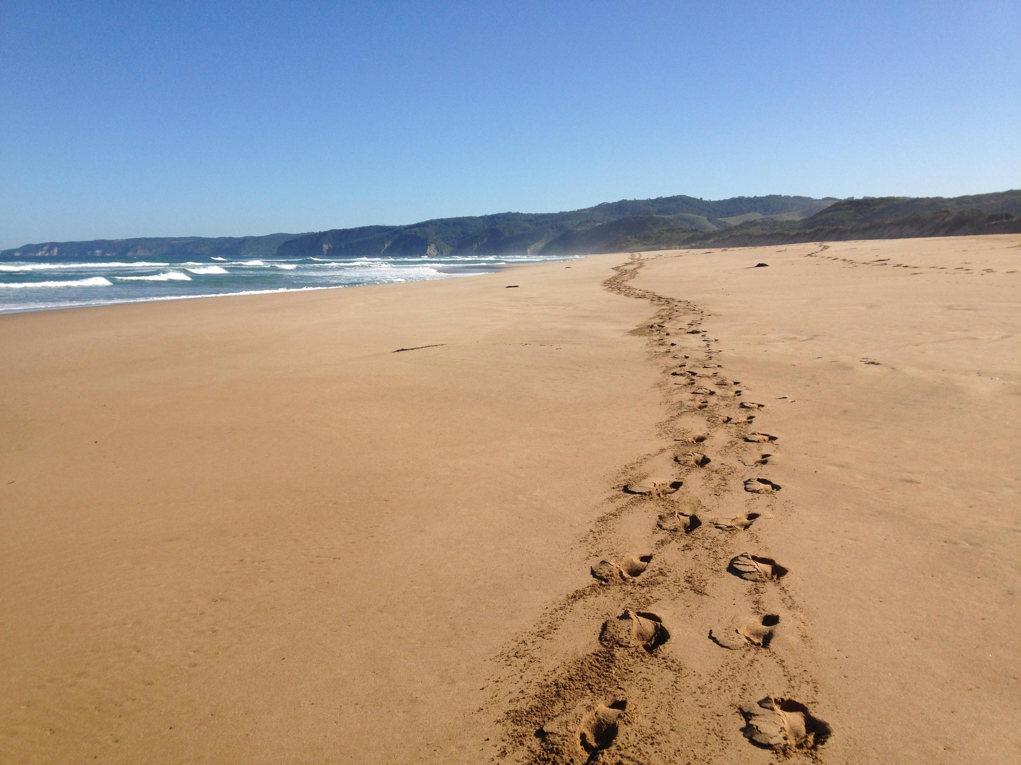 Great Ocean Road Tours