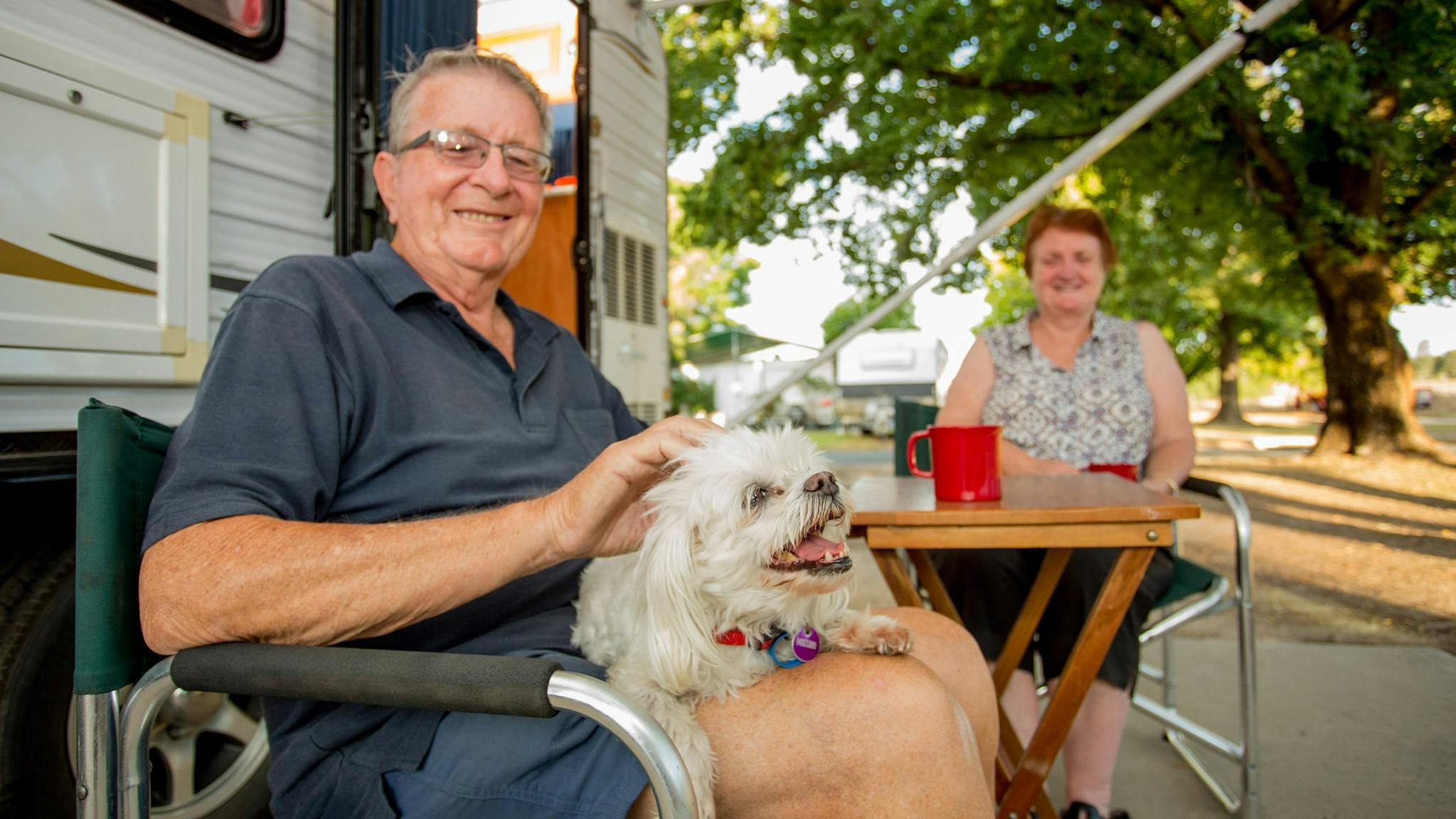 Bring along your Furry Friends