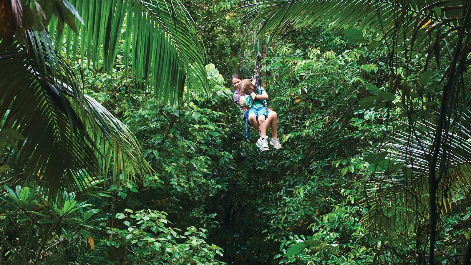 Zipline through tree tops at Forest Flying