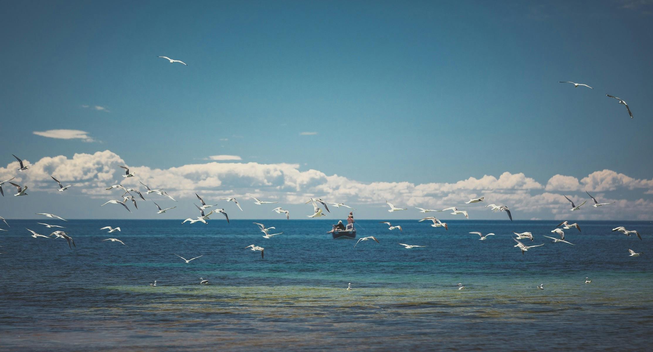 Myponga Beach