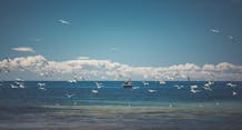 Myponga Beach - Myponga Beach, Attraction | South Australia
