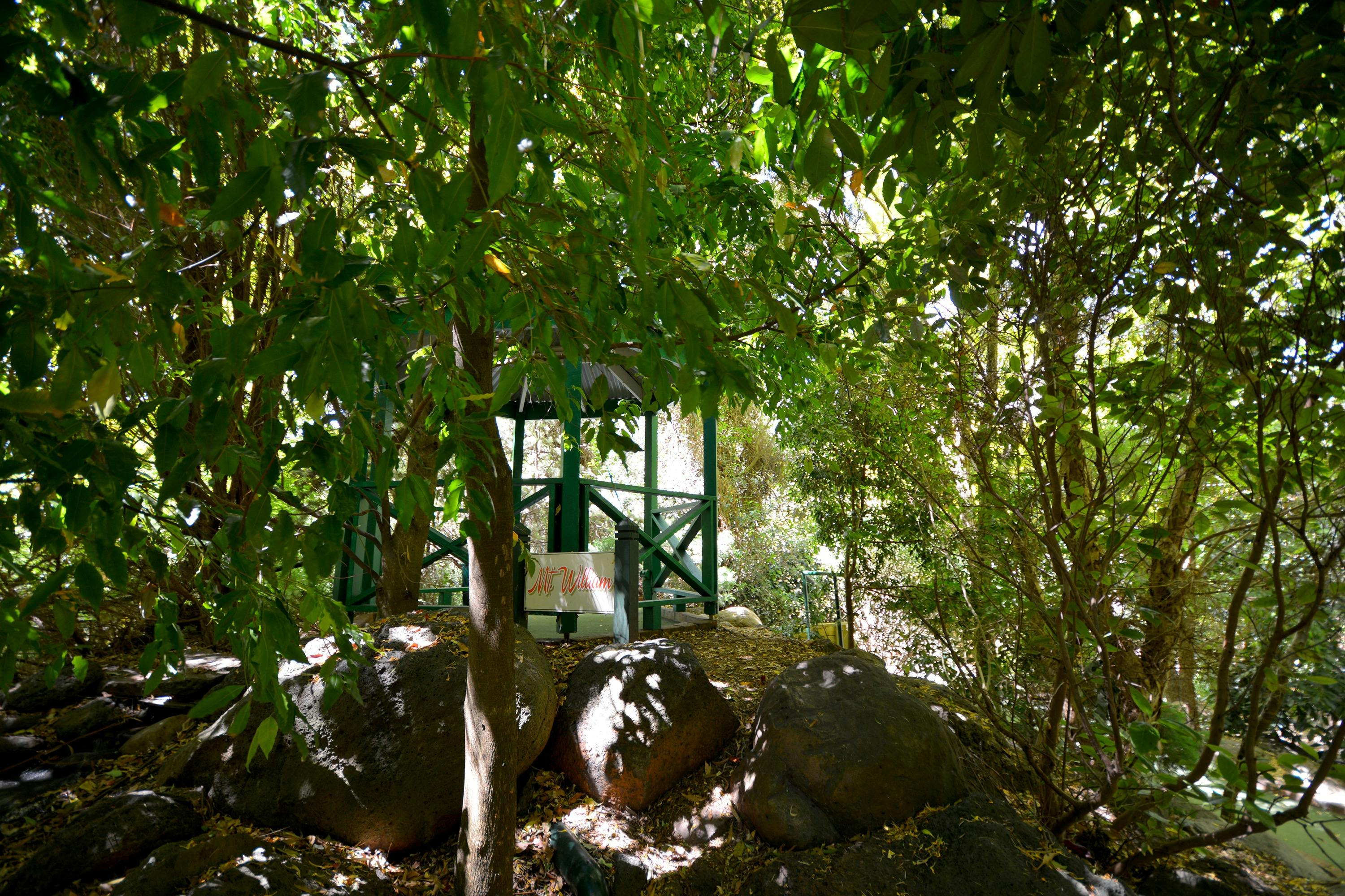 Halls Gap Adventure Golf