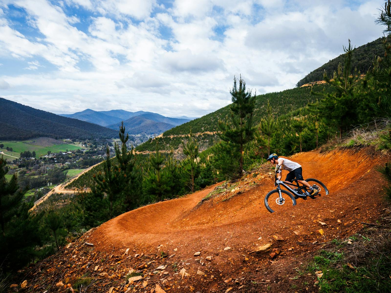 Rider on a trail, with mountains and pine trees in the background