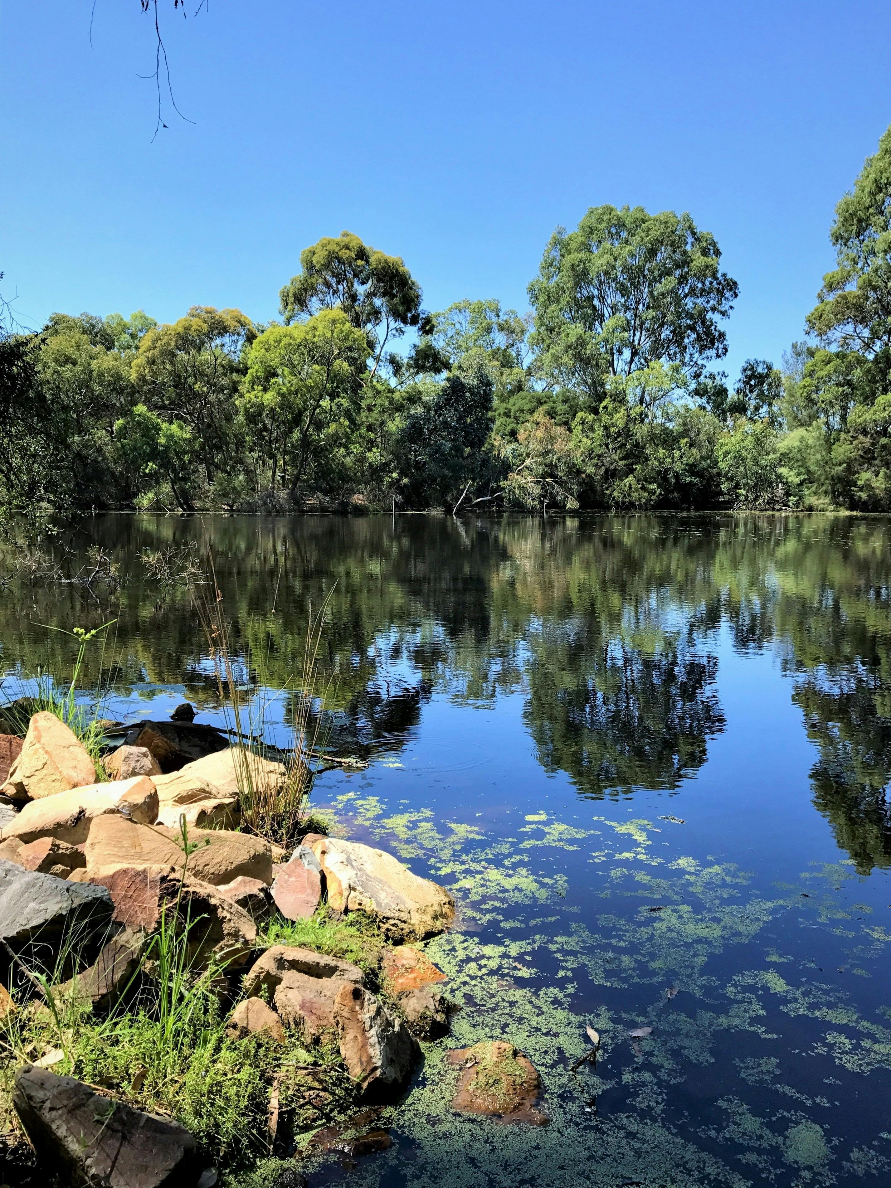 Nangak Tamboree Wildlife Sanctuary