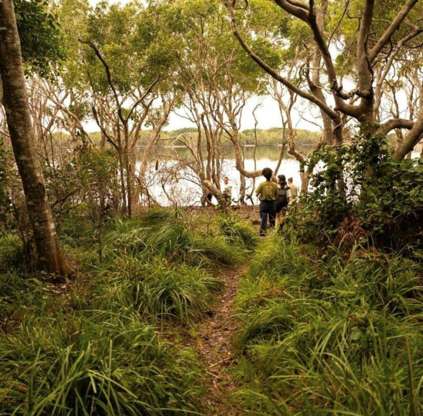 Lake Ainsworth