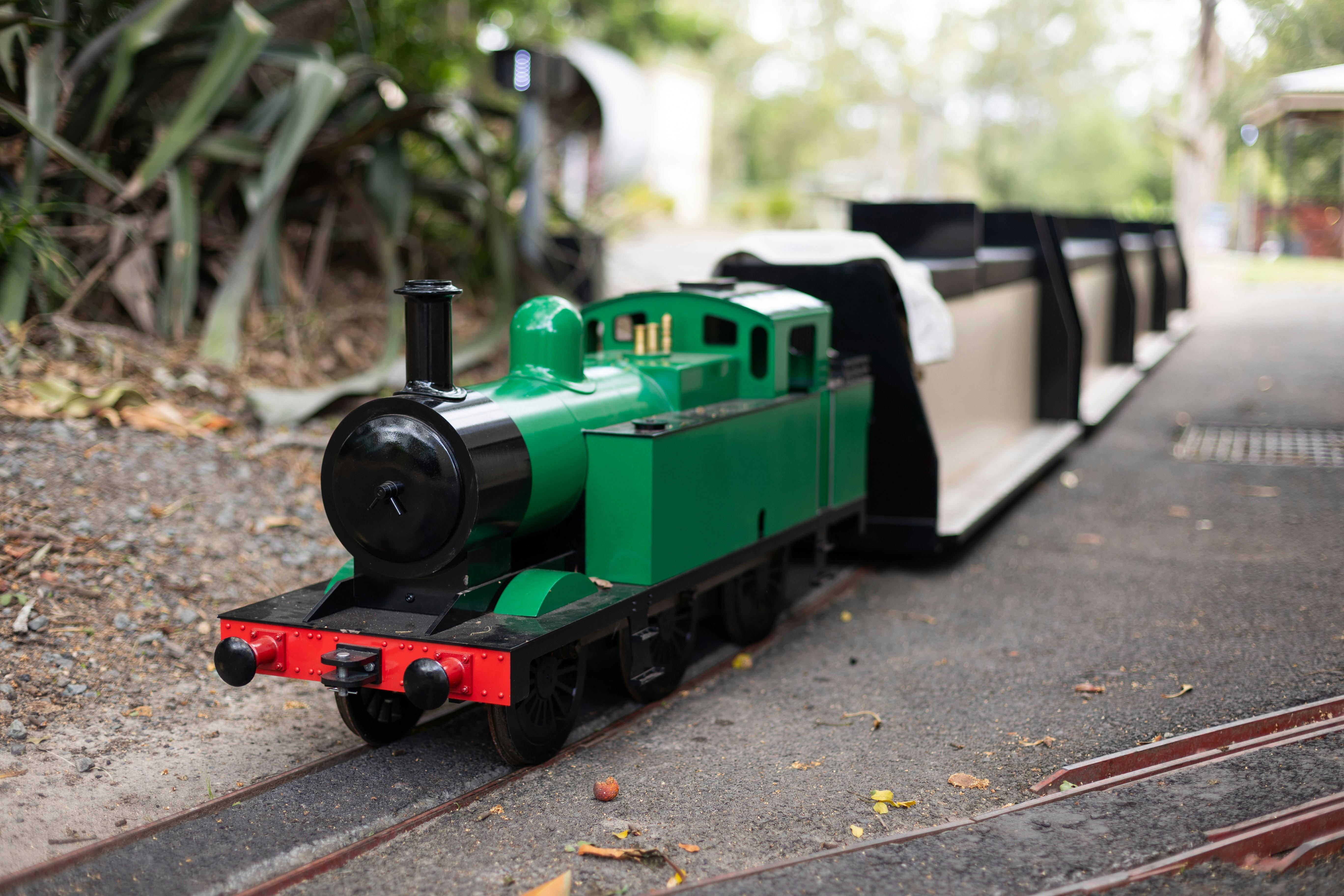 Exciting miniature train ride