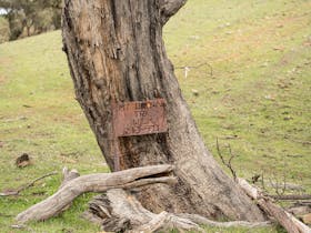 An old fire trail marker - one of many interesting things you might find while exploring!