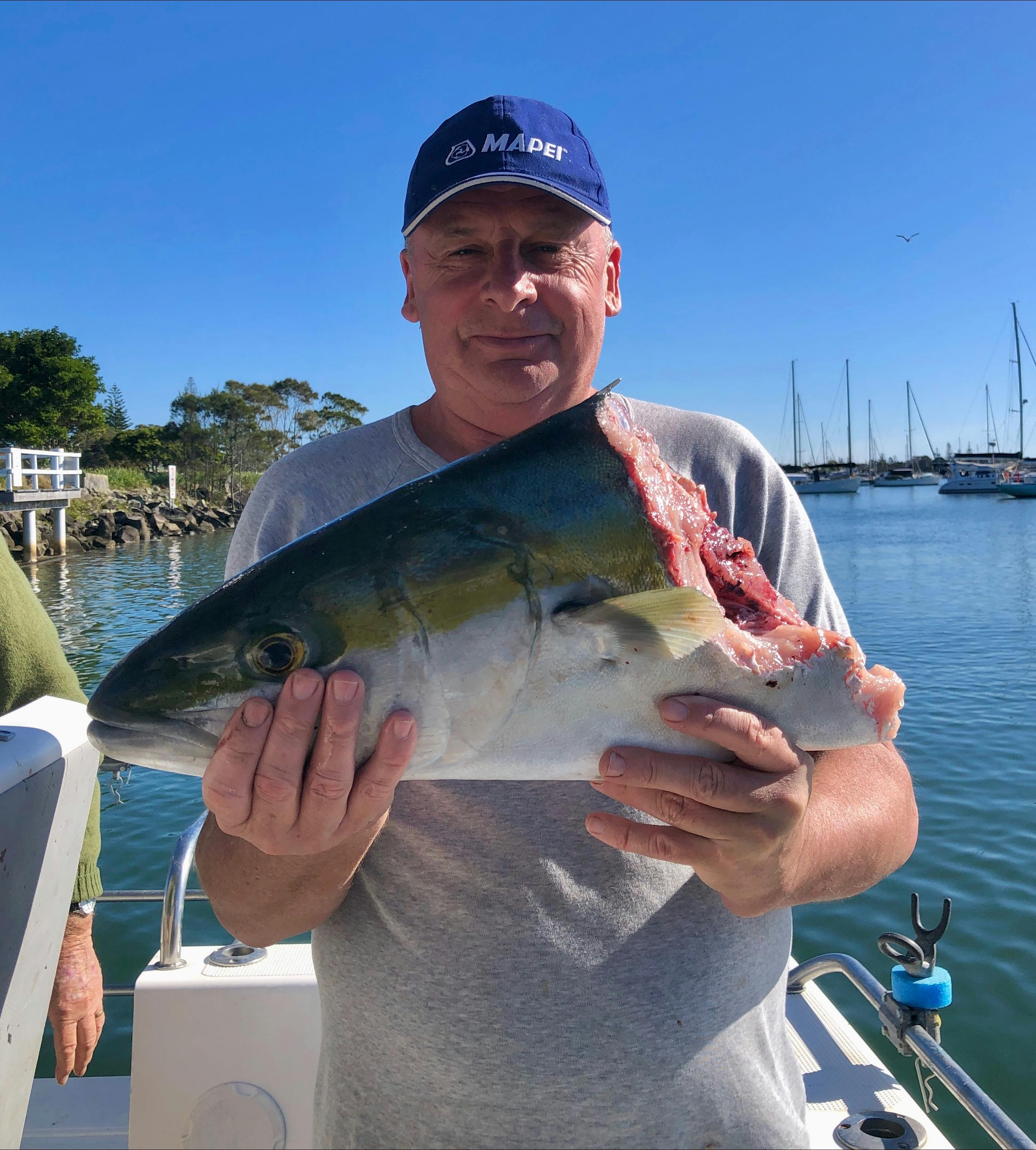 Kingfish with a hefty chunk bitten off by a shark onboard yamba Fishing and Charters