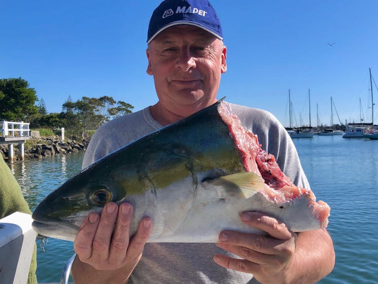 Kingfish with a hefty chunk bitten off by a shark onboard yamba Fishing and Charters