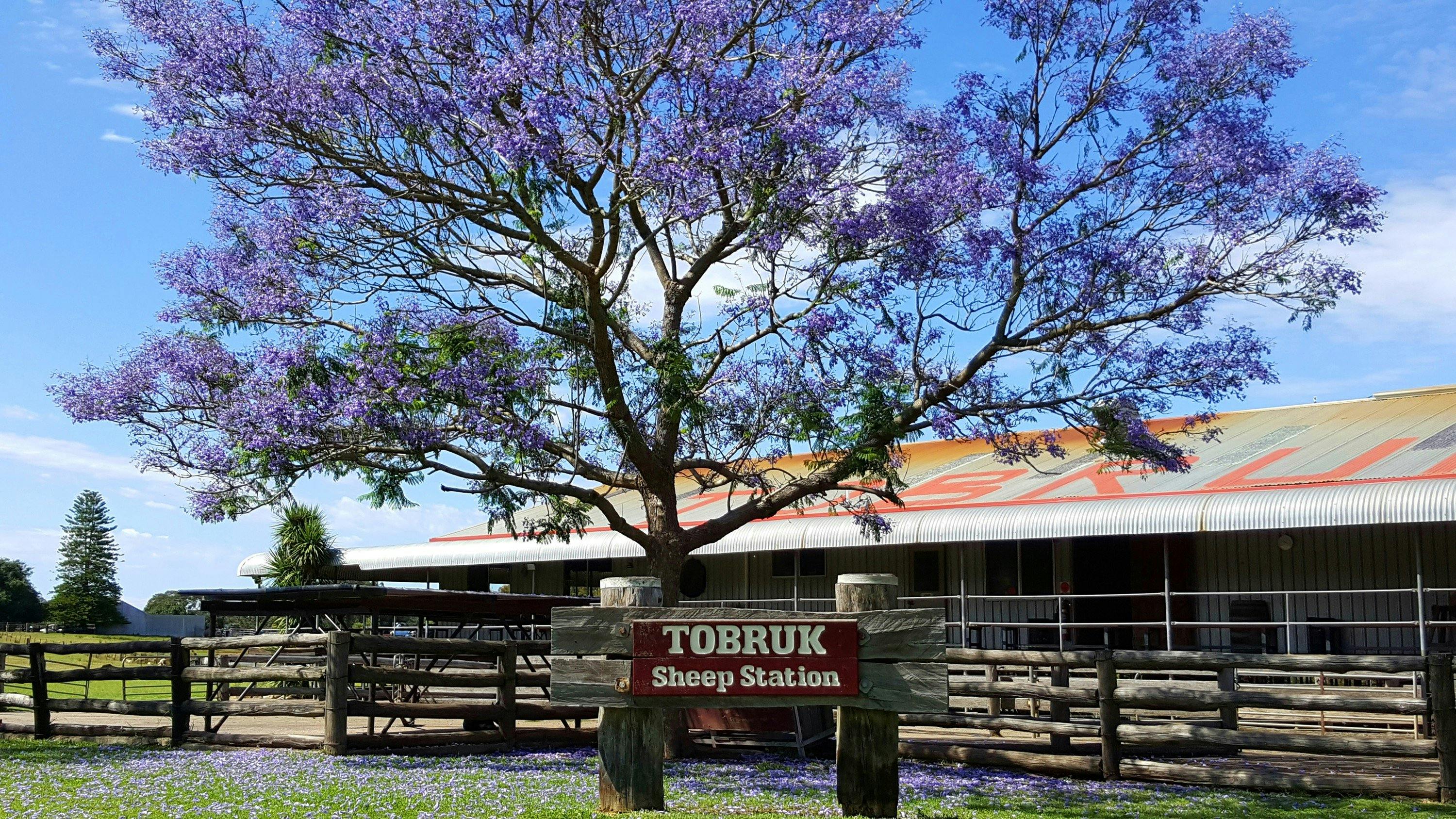 Tobruk Sydney