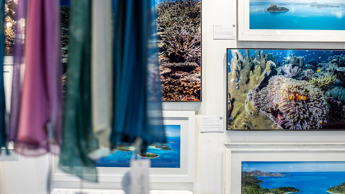 Photo of silk scarves and prints at Above and Below Gallery