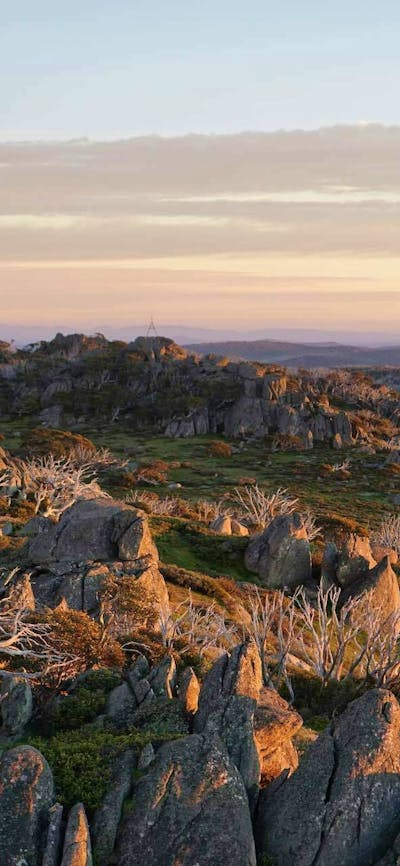 Snowy Mountains 4-day Walk