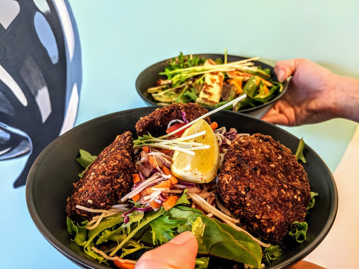 Fish Cake Salad & Haloumi Salad