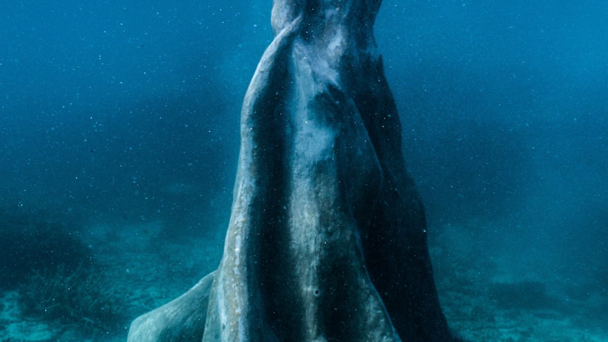 Ocean Sentinels / MOUA / Museum of Underwater Art