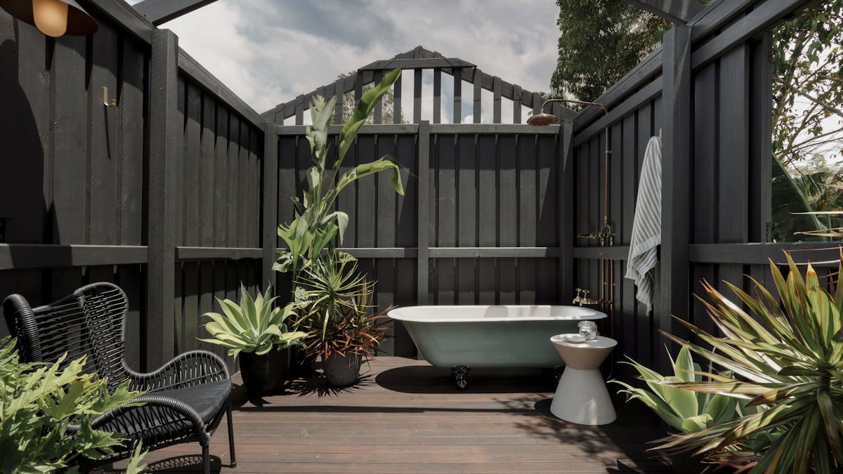 Looking from entrance to free standing clawfoot bathtub and plants