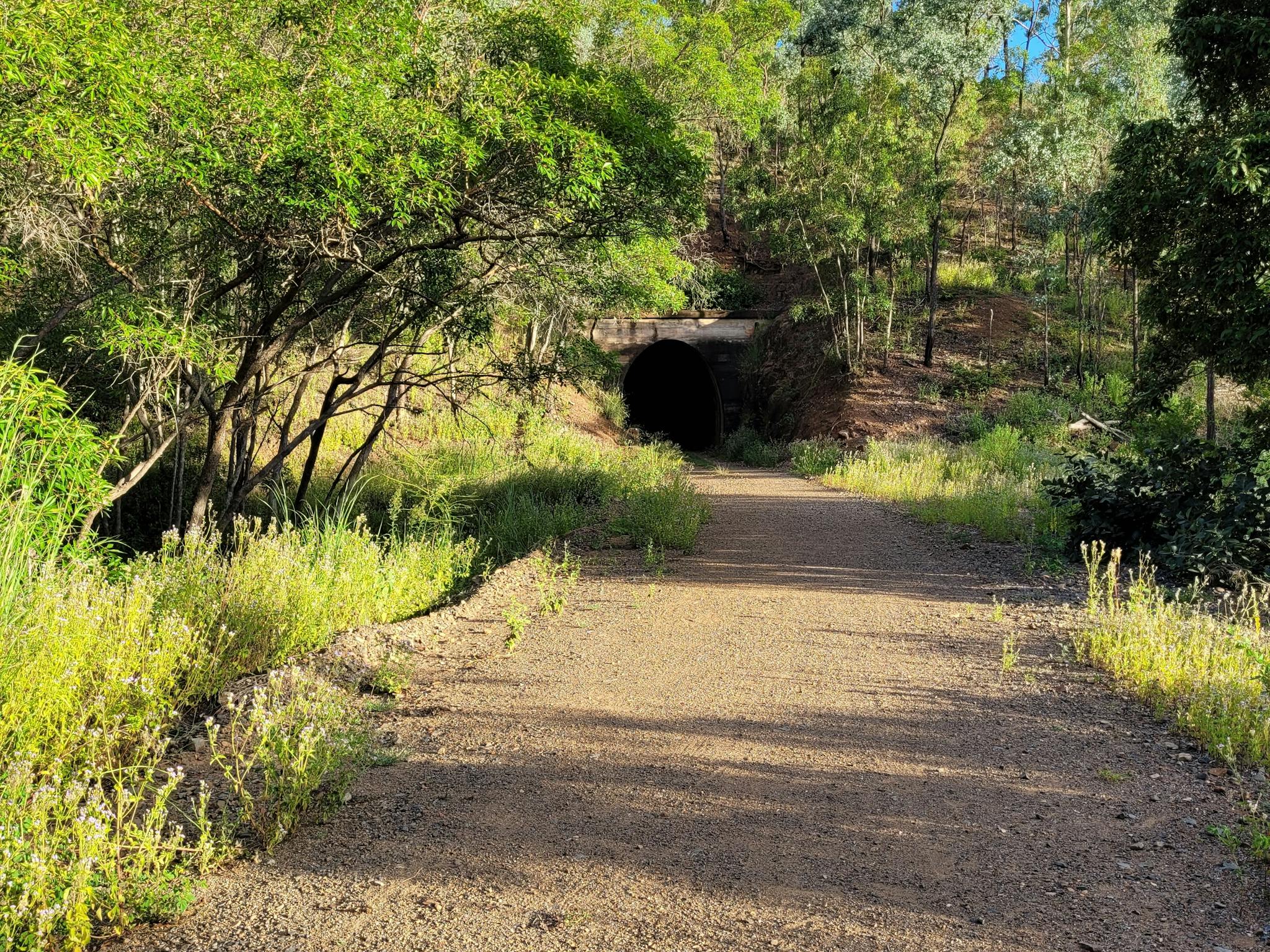 A section of the rail trail surface between  tunnel number 5 and tunnel number 4