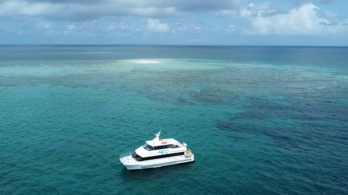 Beaver Reef