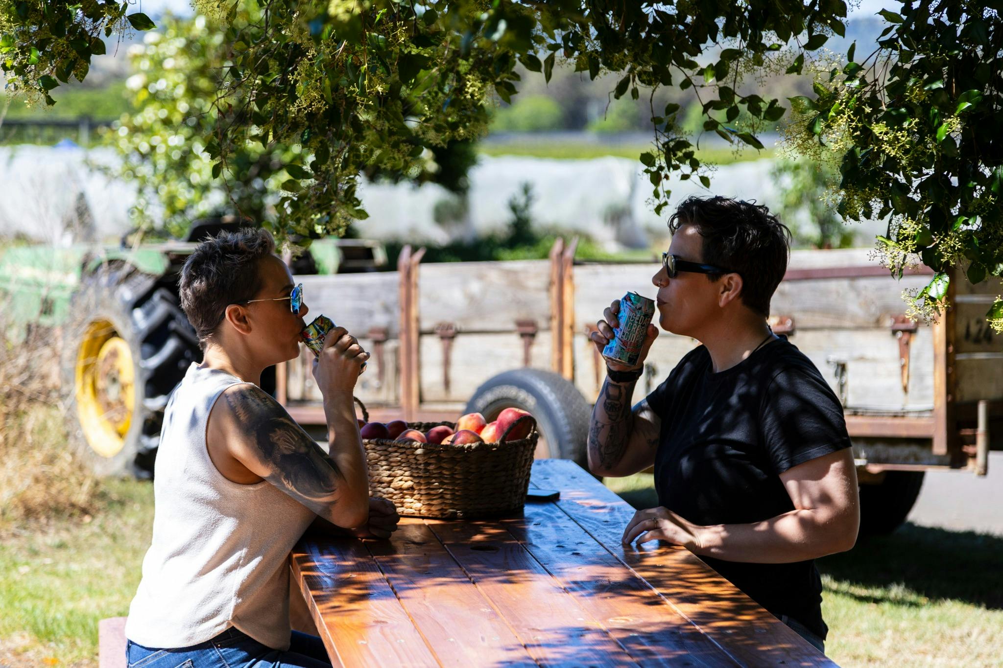 品嚐雪松溪蘋果酒