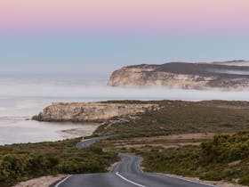 A winding road weaves through lush greenery, leading gently toward the calming presence of the sea