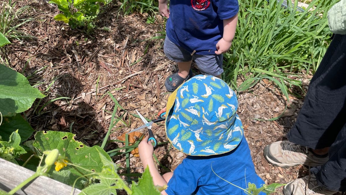 Children in garden