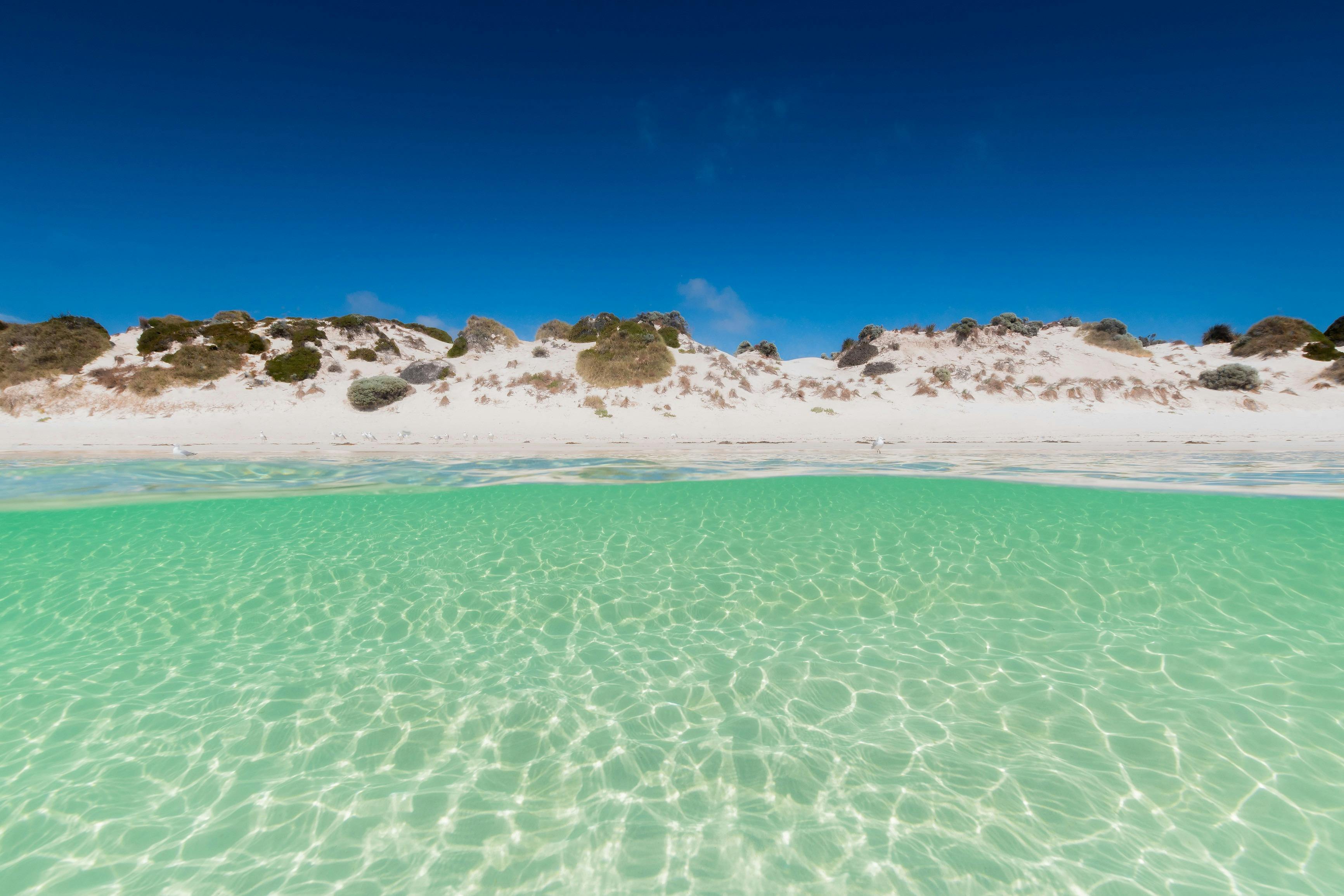 Parakeet Bay