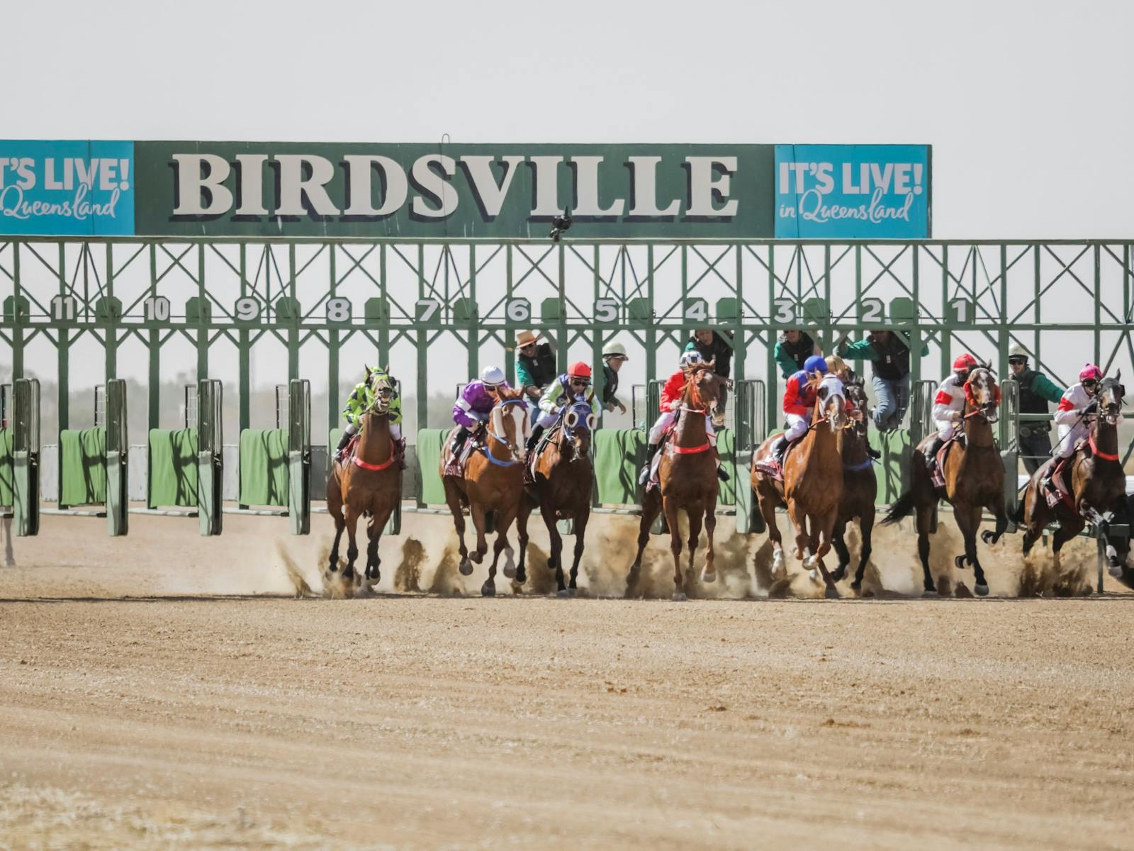 Image for Birdsville Races