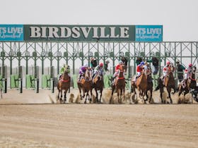 Birdsville Races Cover Image
