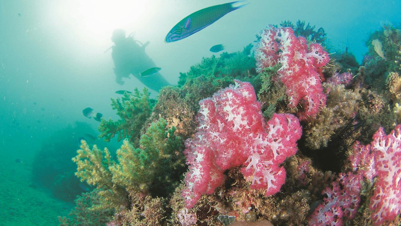 Ningaloo Marine Park