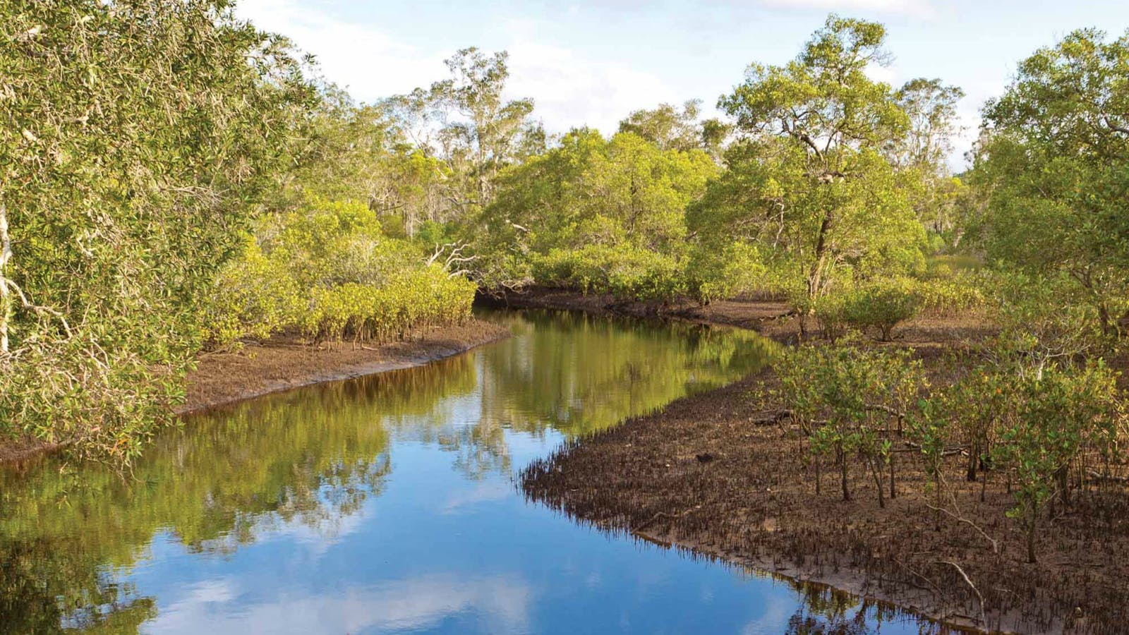 Canoe Evans River Paddle Route