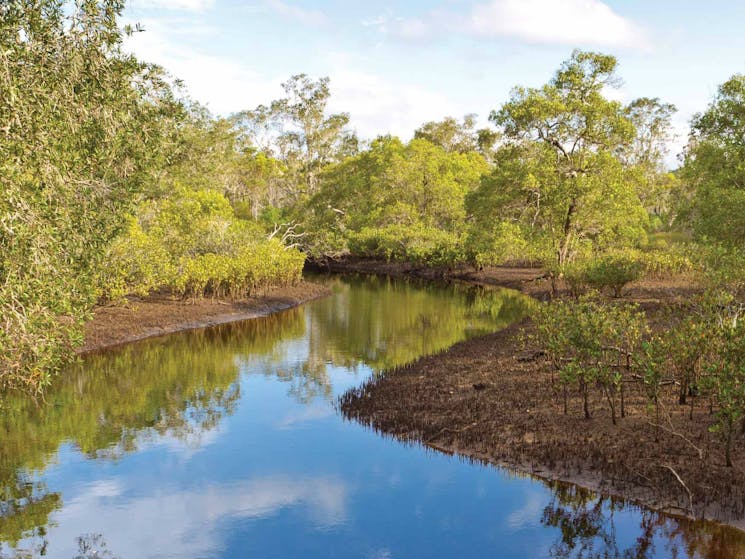 Evans River paddle route, Bundjalung National Park. Artist: Rob Cleary