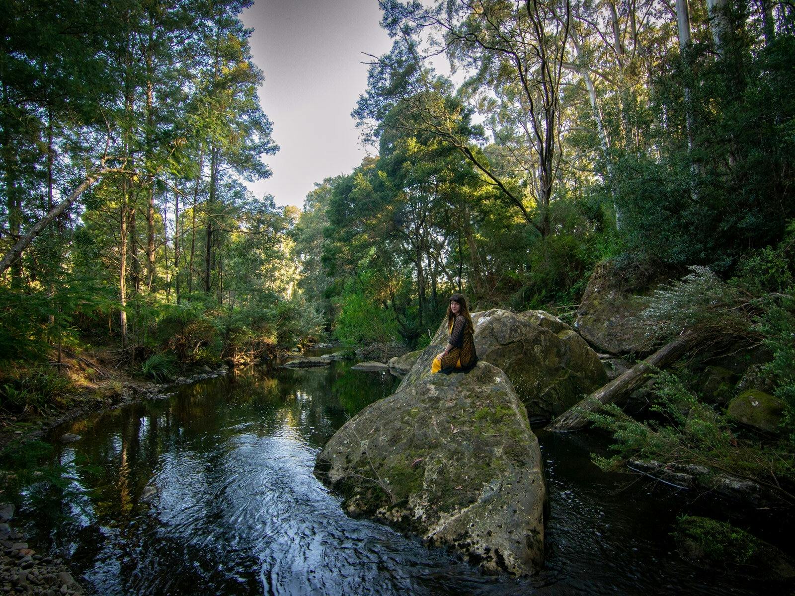 Mountain stream surrounded by large boulders and tall trees. Girl sitting on a rock in foreground.