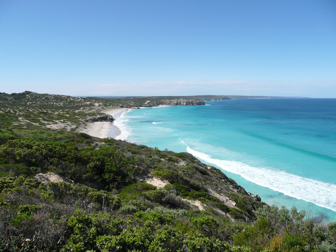 Wilderness Island Culture Day Tour - 1DWIC - Parndana, Tour Servi...