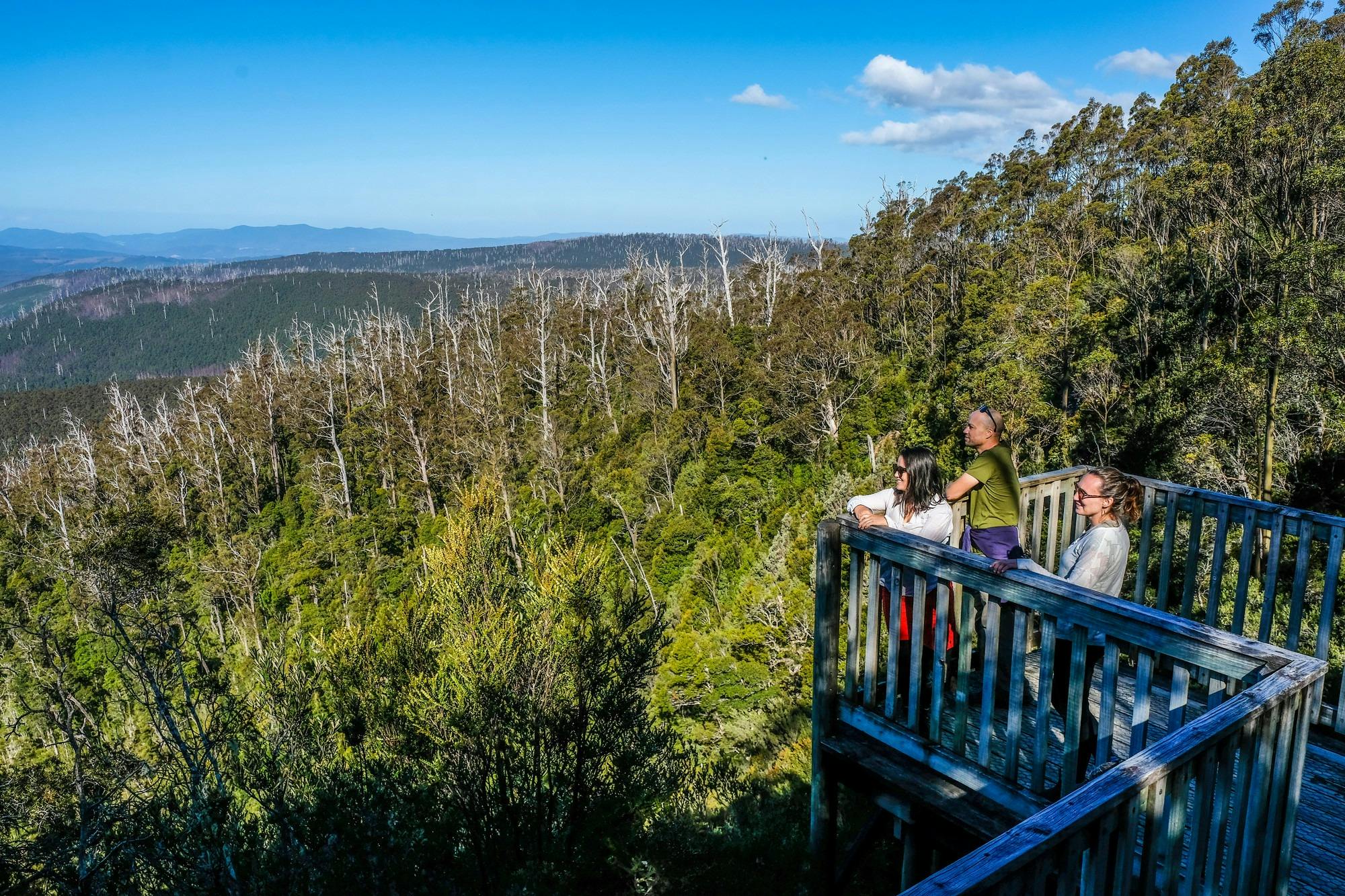 Waratah Lookout