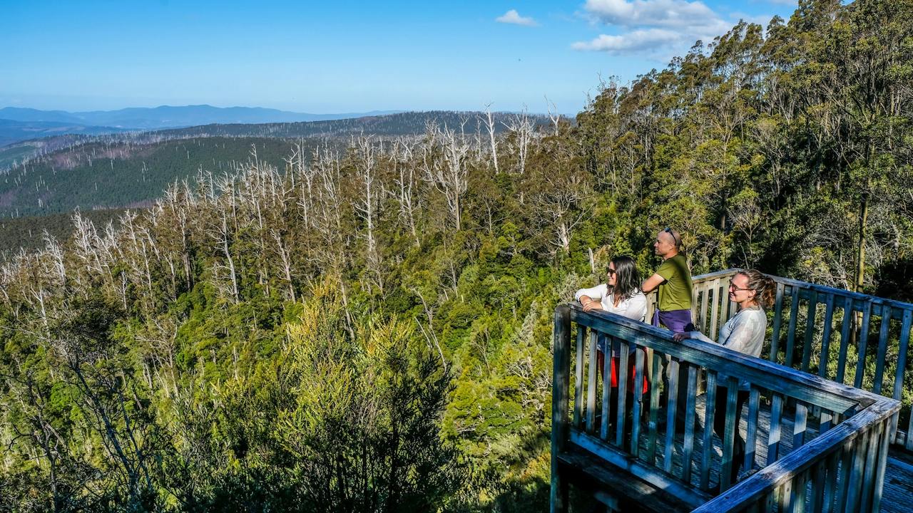 Waratah Lookout