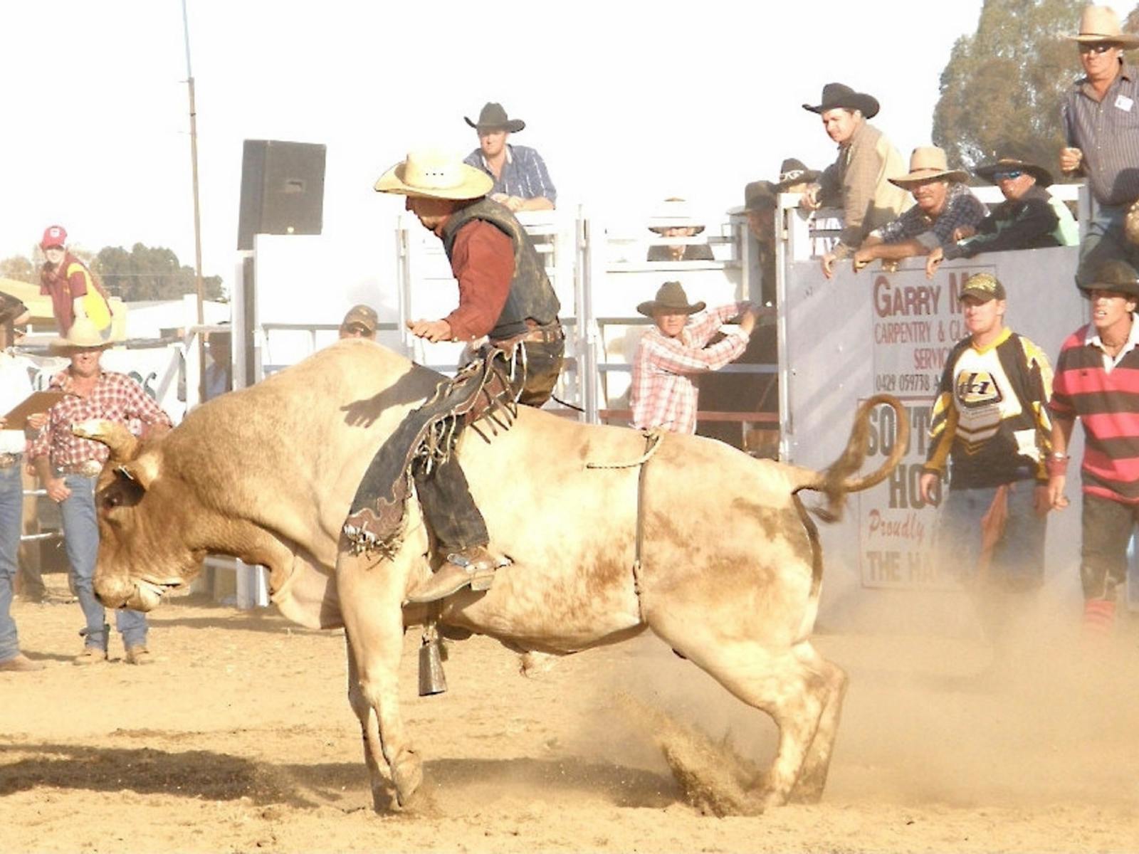 Image for Hay Rodeo