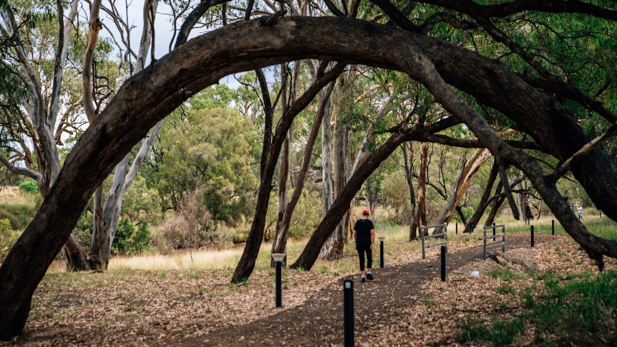 Warrego River Walk