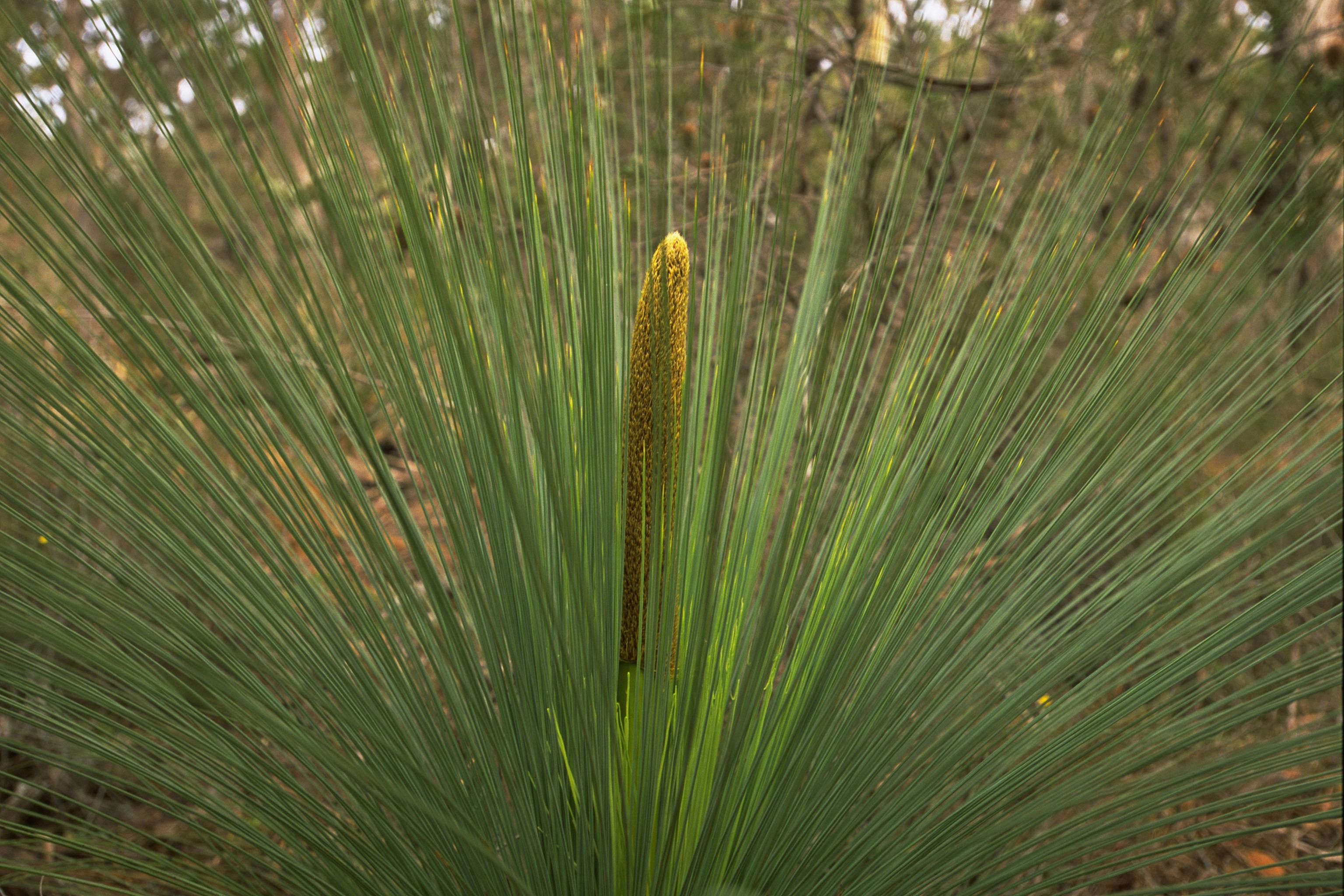 Douglas-Apsley National Park