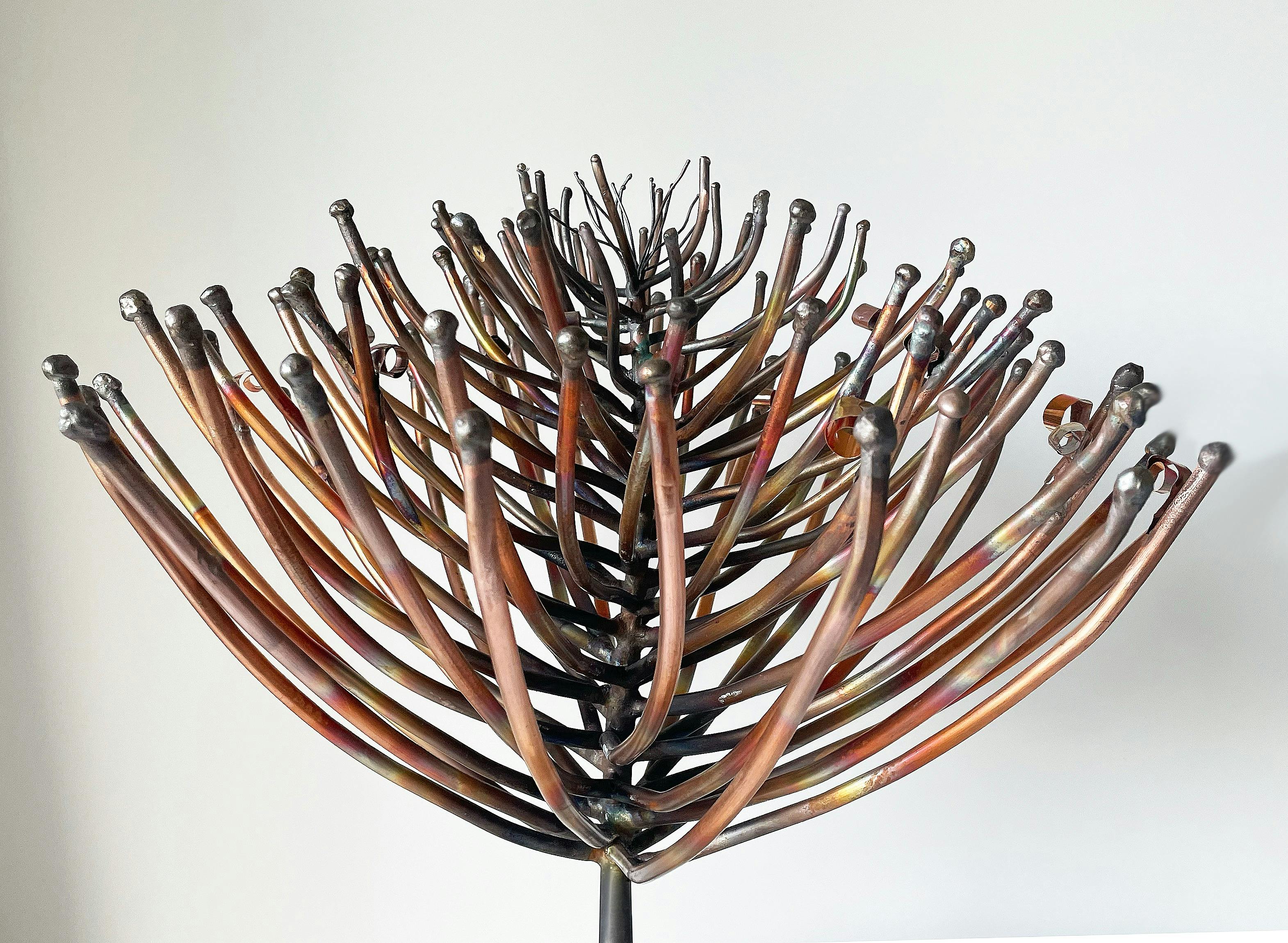 Sandra Pitkin - Copper Sculpture