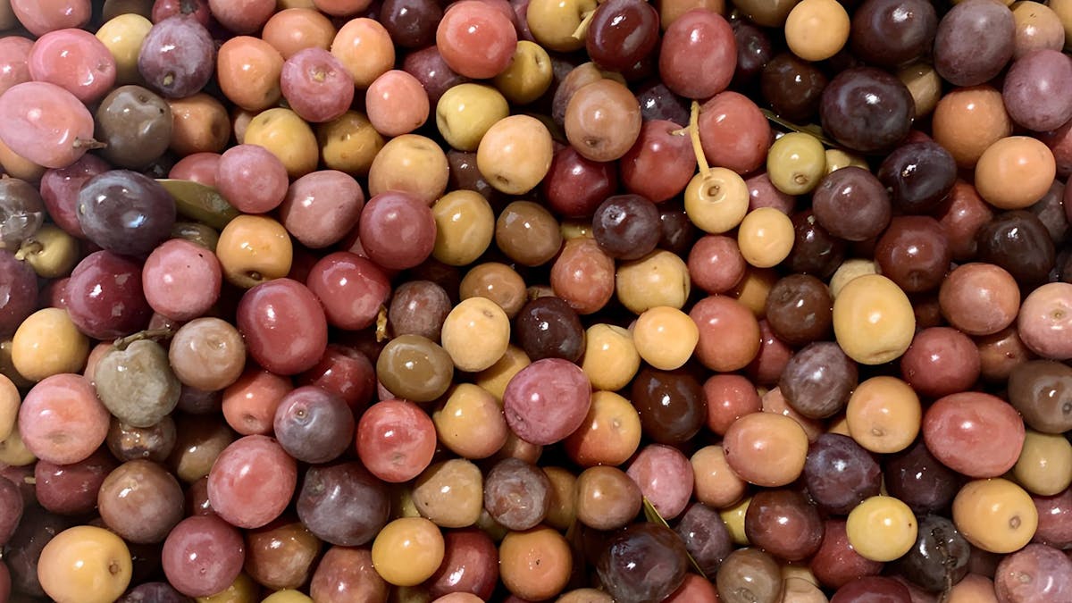 Kalamata olives