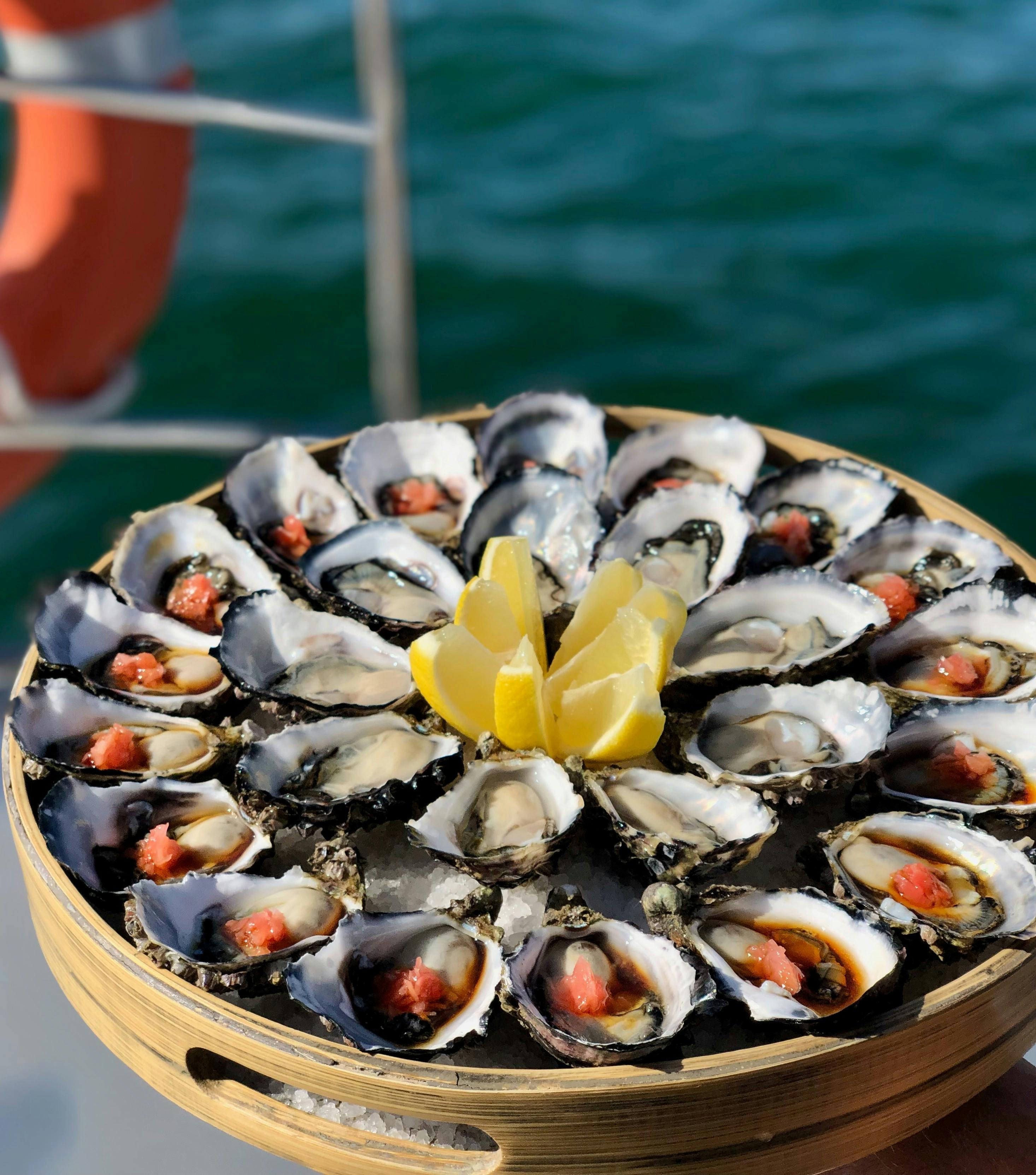 Sunset Charters Coffin Bay oysters