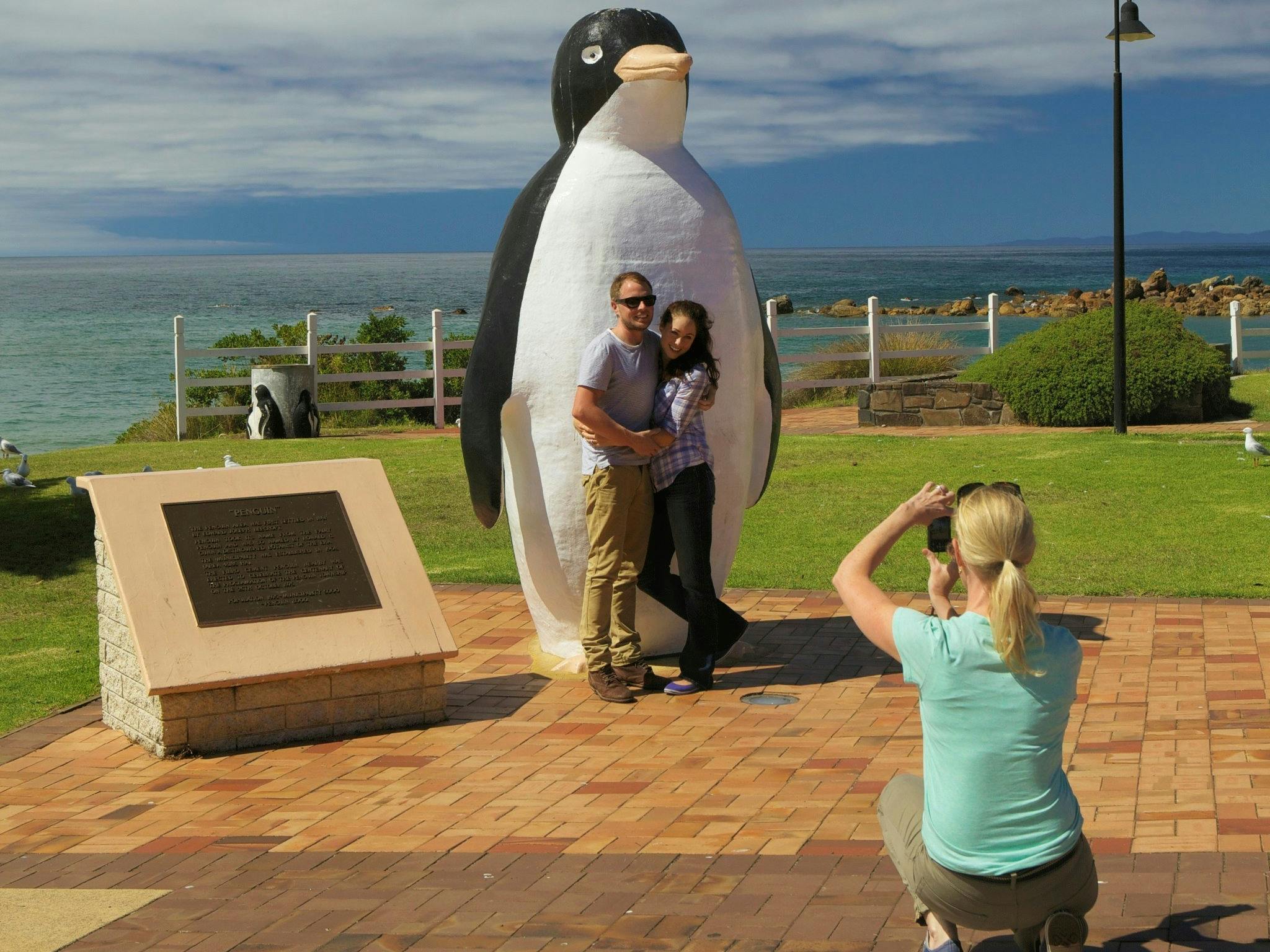 Penguin