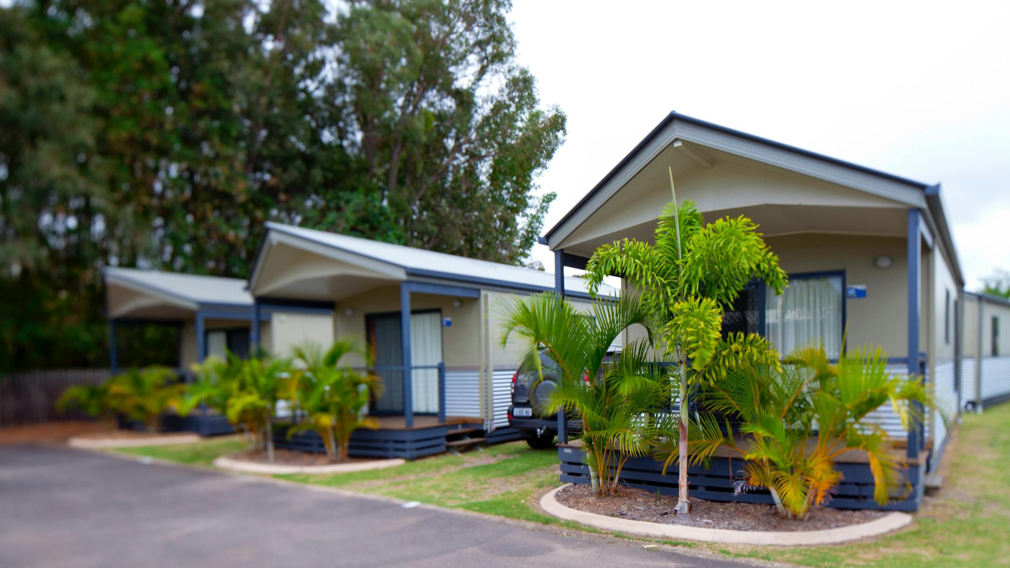 Palm Cabin - Exterior Palm Cabin - Exterior