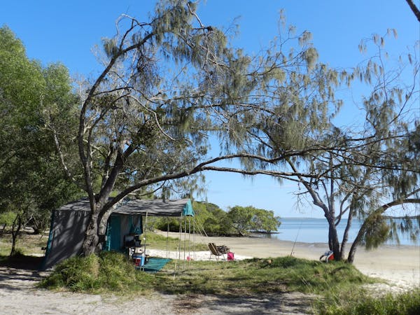 are dogs allowed at inskip point