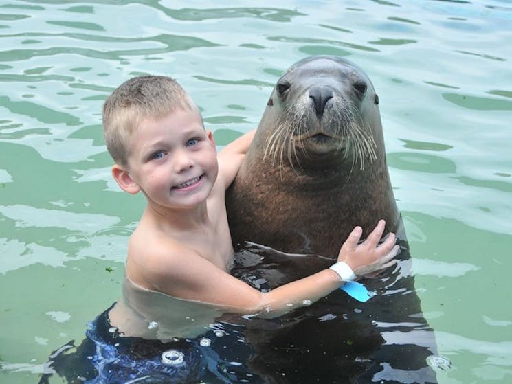 Young boy smiling during close-up in-water experience with Australian sea lion