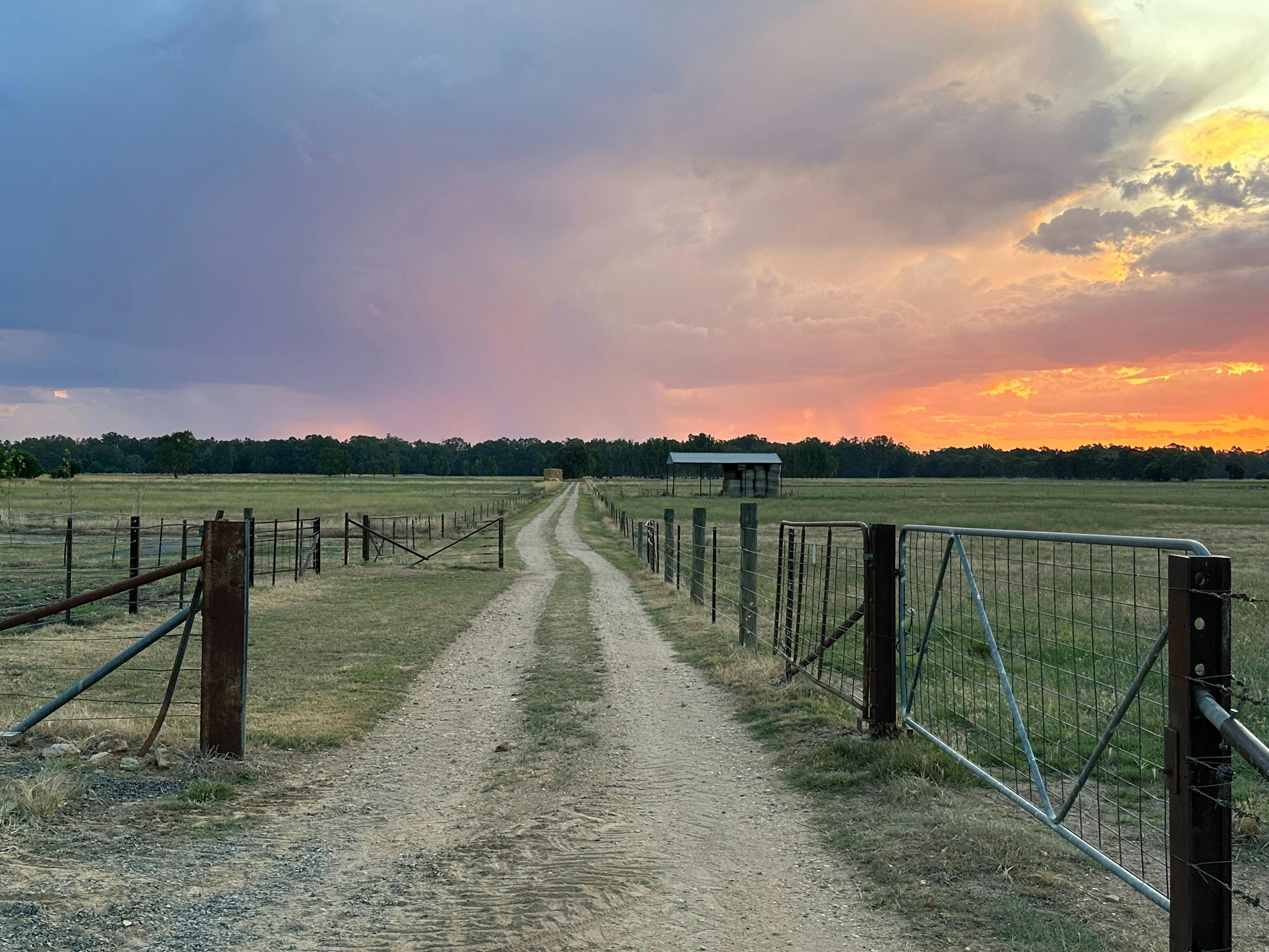 Long walking track to the Ovens River