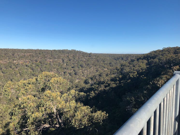 View from O'Hare's Creek Lookout in Dharawal National Park