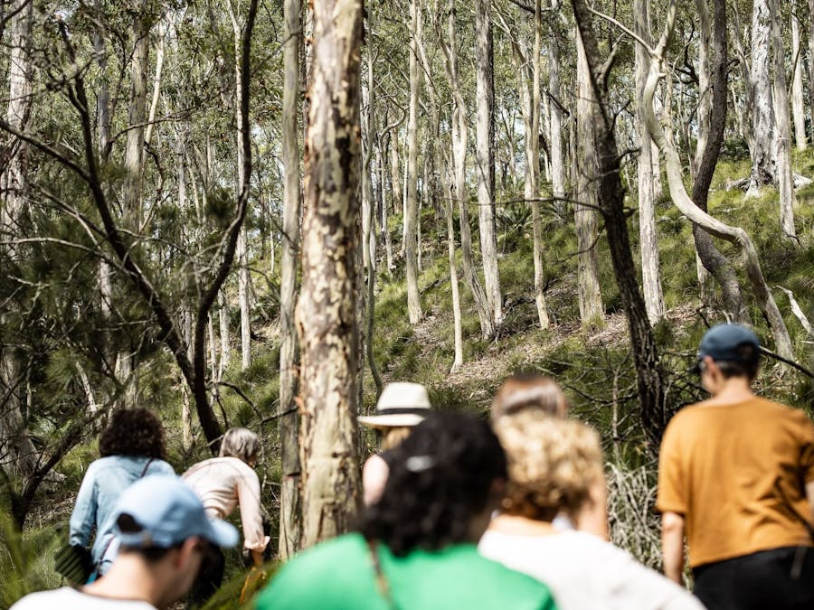 A group of bushwalkers wander uphill through a forest at Bundanon